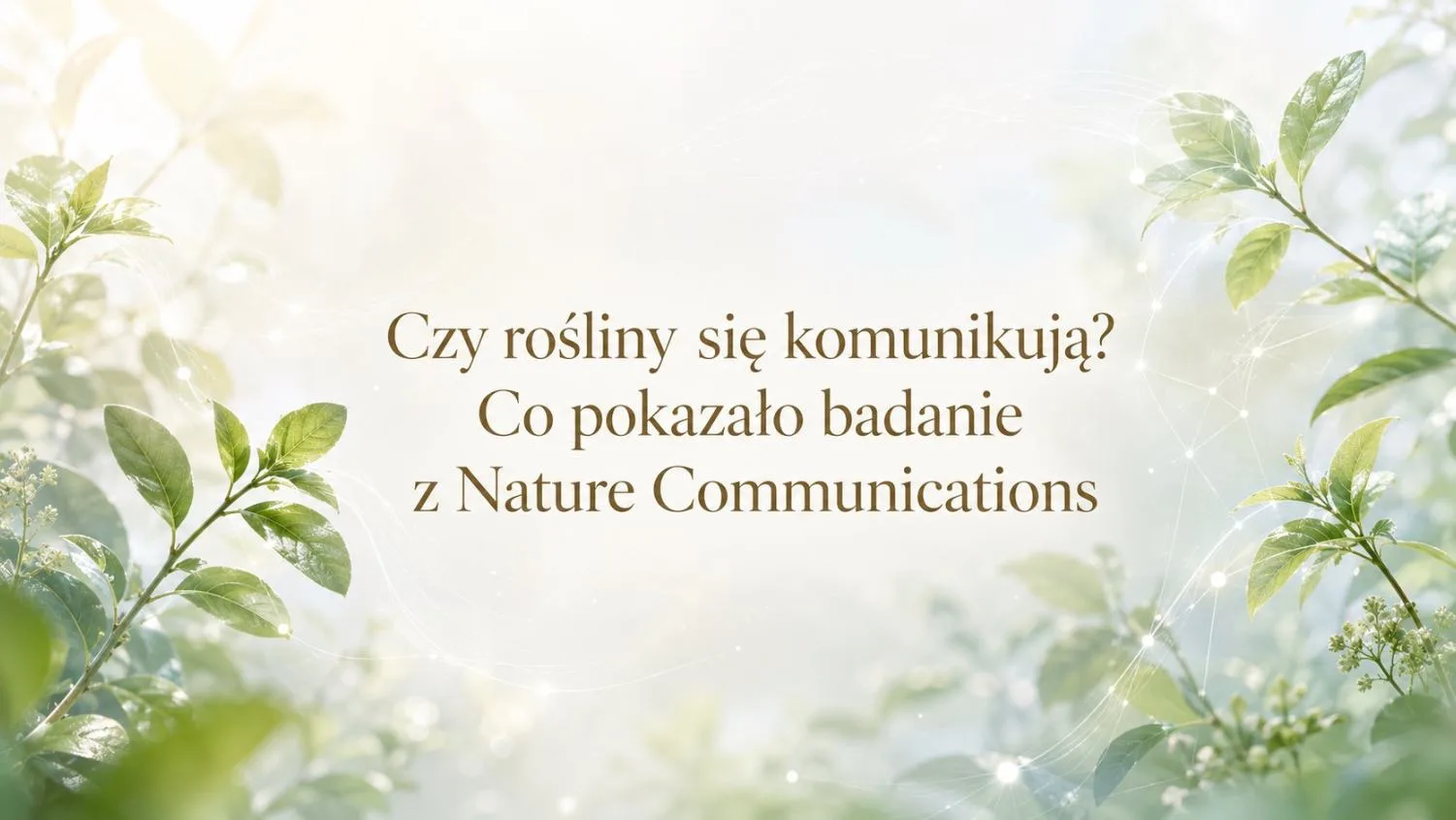 Czy rośliny się komunikują? Badanie z Nature z 2023 roku