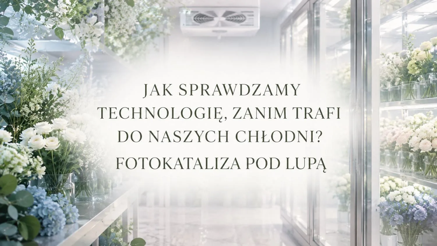 Fotokataliza pod lupą: jak sprawdzamy technologię w chłodni